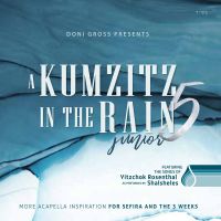 A Kumzitz In The Rain 5 (Songs of Shalsheles Junior)