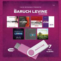The Baruch Levine Collection - USB