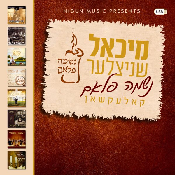 Michoel Schnitzler Collection