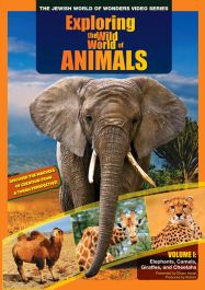 Nature: Extraordinary Animal Behavior [DVD] [Region 1] [US