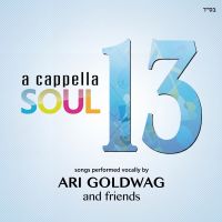 Acapella Soul 13
