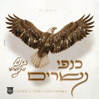 Kanfei Nesharim (Single)
