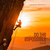 Do the Impossible (Single)