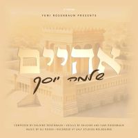 Aheim - Shloime Yosef (Single)