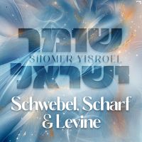 Shomer Yisroel (Single)