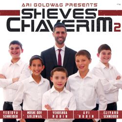 Sheves Chaveirim 2