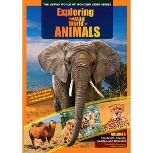 Exploring The Wild World Of Animals - DVD