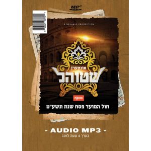 Interen Shteel MP3 (Audio)