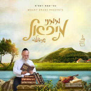 Mimini Michoel - מימיני מיכאל