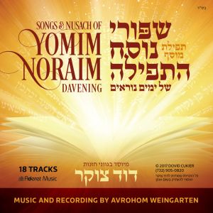 Shipurei Nusach Hatefillah - Yomim Norayim