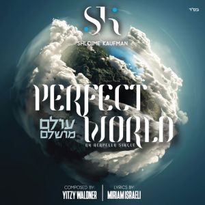 Perfect World (Acappella) - FREE