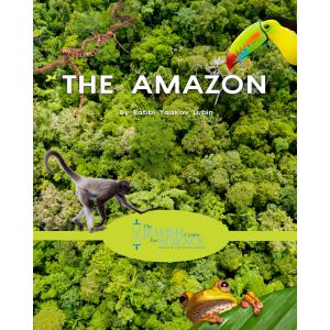 The Amazon - DVD