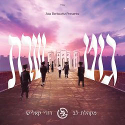 Git Shabbos