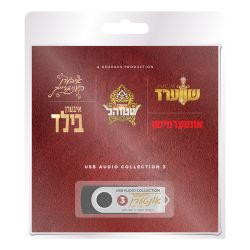 YiddishPlays MP3 Collection 3 (USB)