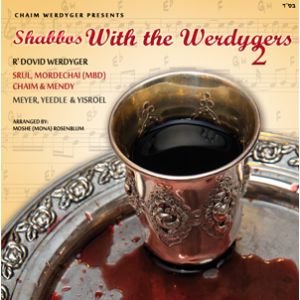 Shabbos With The Werdygers 2