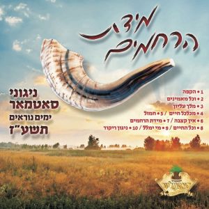 Midas Harachamim