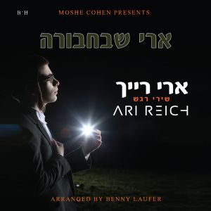 Ari Shebachvura