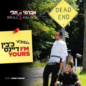 I'm yours -  באשעפער כ׳בין דיינס