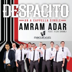 Despacito Acapella - FREE