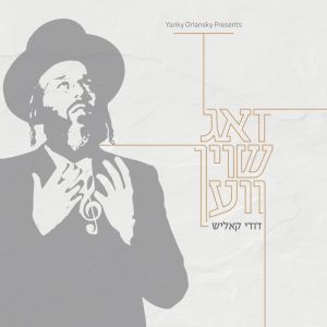 Zug Shoin Ven - זאג שוין ווען