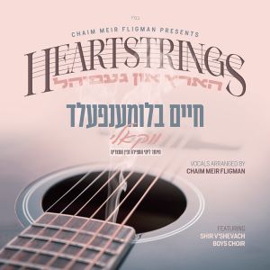 Heartstrings Acapella