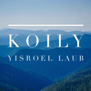 Koily - FREE