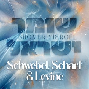 Shomer Yisroel (Single)