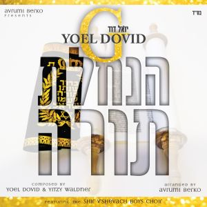 Hinchato Torah - Yoel Dovid